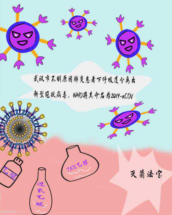 冠状病毒"族谱"曝光 专家带你找准防控要点 冠状病毒"族谱"曝光 专家带你找准防控要点