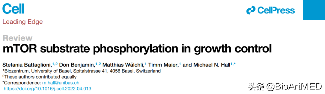 「珍藏版」Cell综述 | 细说mTOR底物磷酸化 「珍藏版」Cell综述 | 细说mTOR底物磷酸化