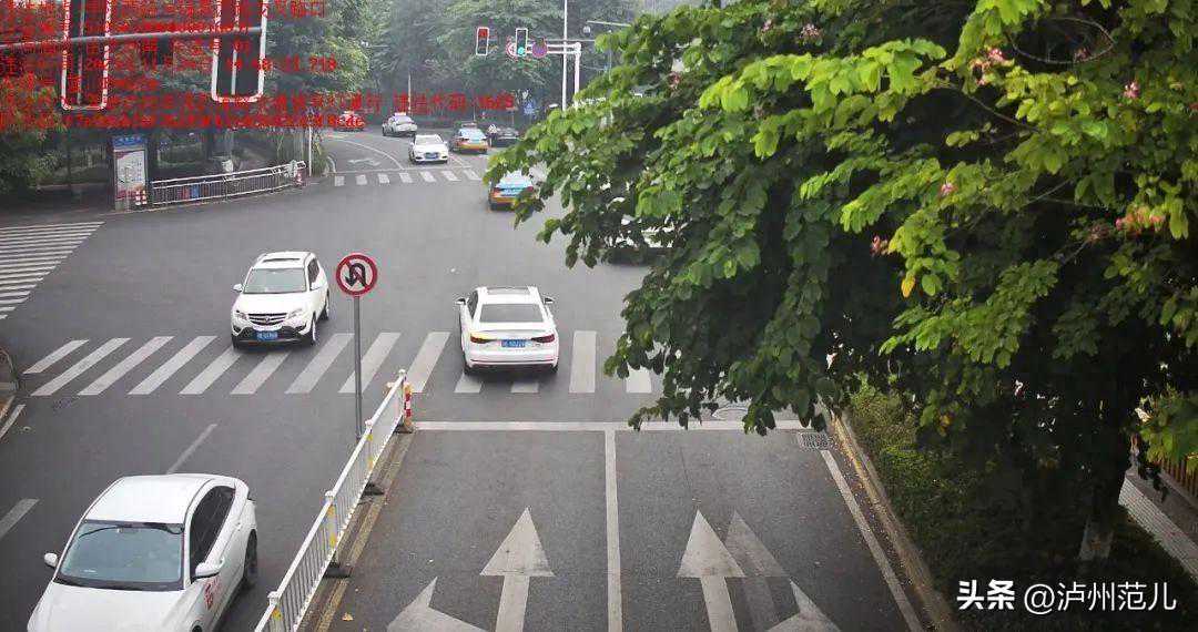 泸州这些人的违法行为被曝光！看看有你吗？