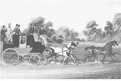 颠覆式创新，弱弱联合的故事