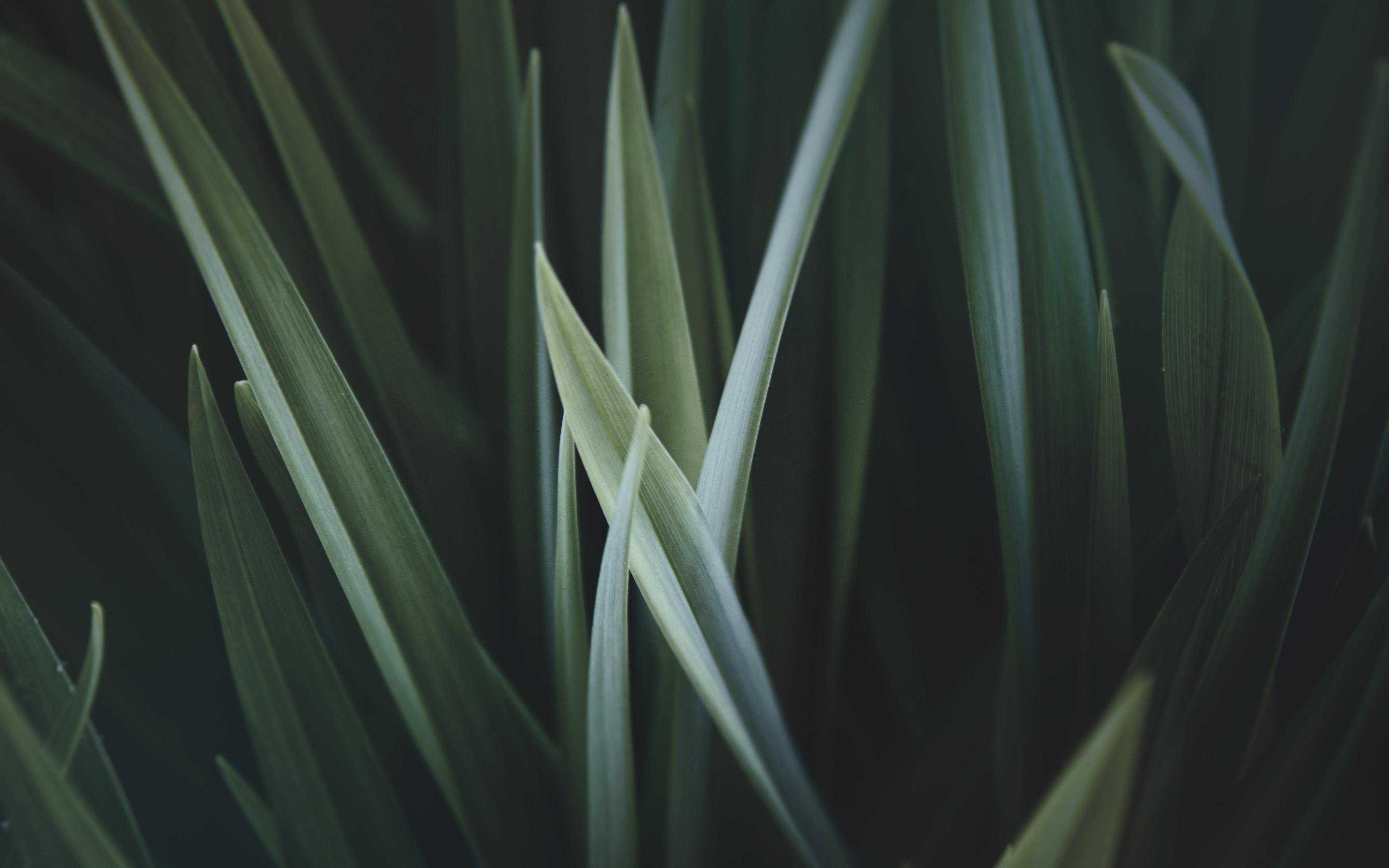 光伏组件常见问题及修复