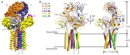 哈工大四破世界级科学难题的背后