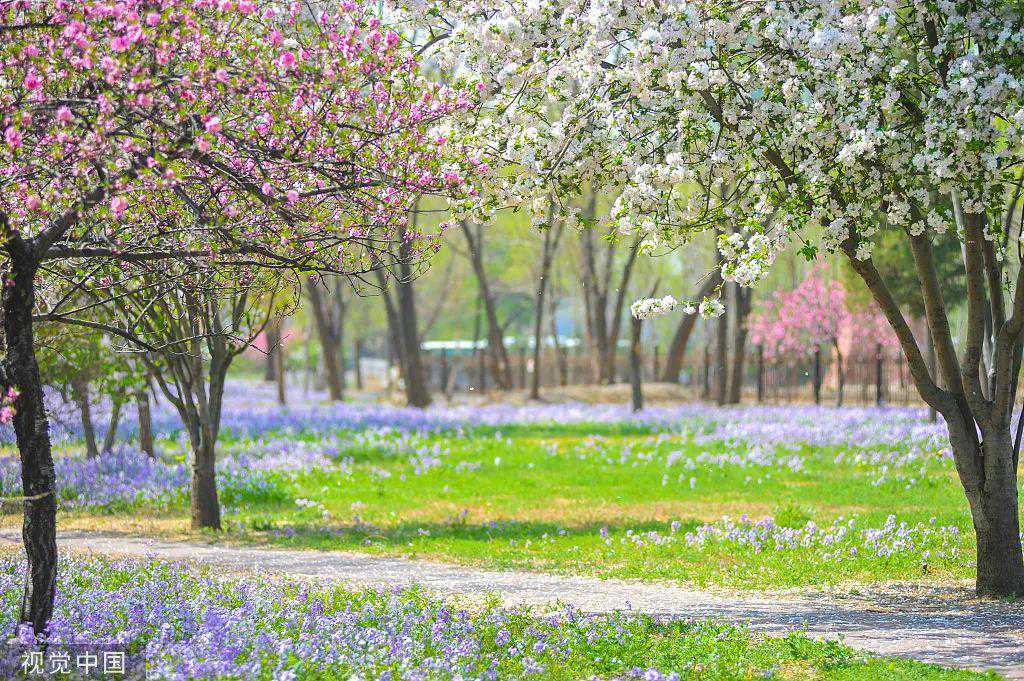 今天只有一个颜色。 今天只有一个颜色。