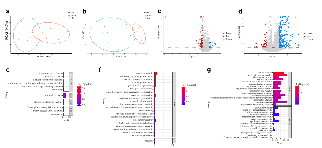 多组学分析揭示了圈养猕猴性成熟前后色氨酸和胆固醇代谢的变化