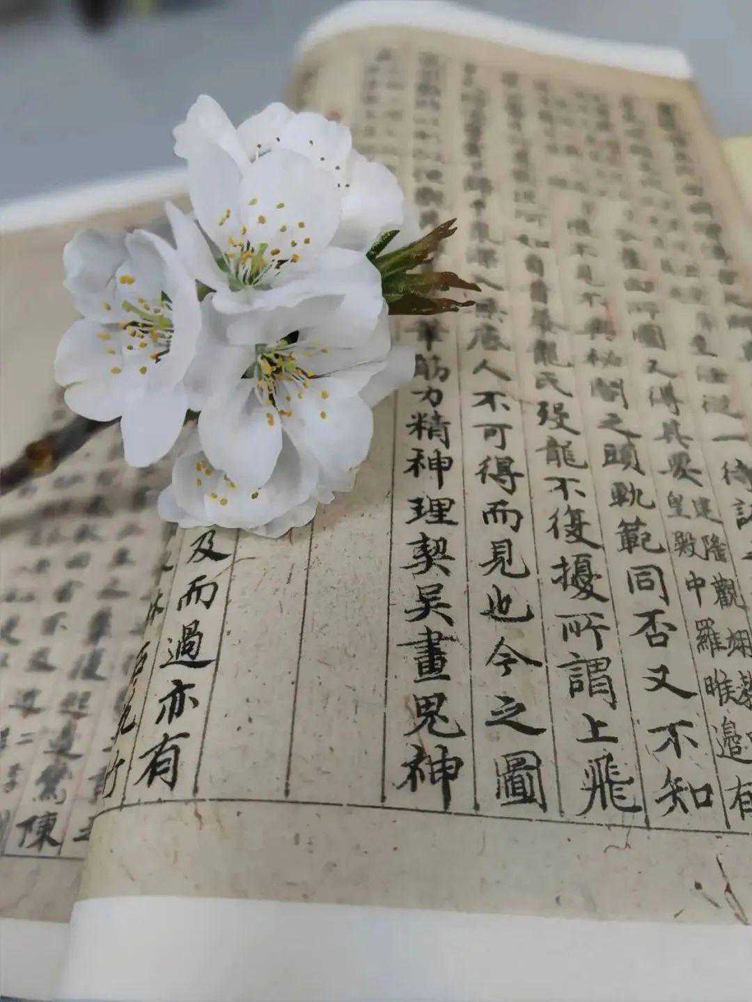 WinCCV7.4使用CP5612通讯卡通过MPI连接PLC