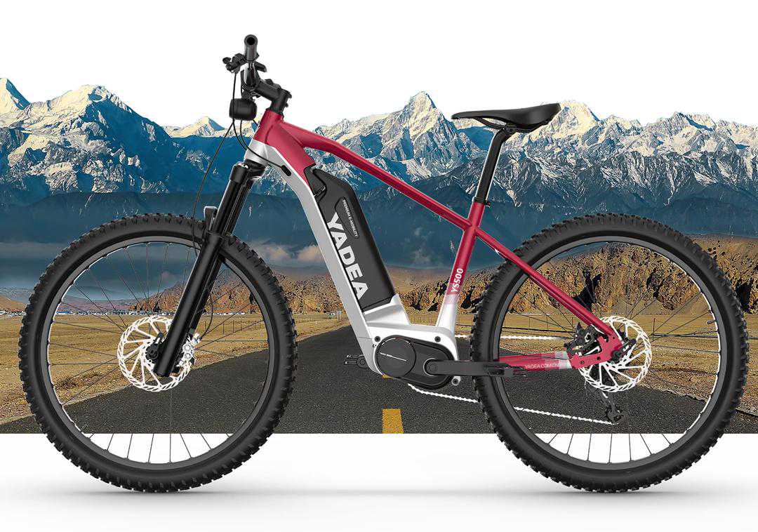 这3款电动自行车，专为年轻人打造，续航100公里，可上国标车牌