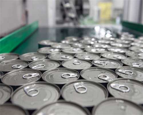 生物可溶性陶瓷纤维模块行业发展格局及投资潜力研究报告