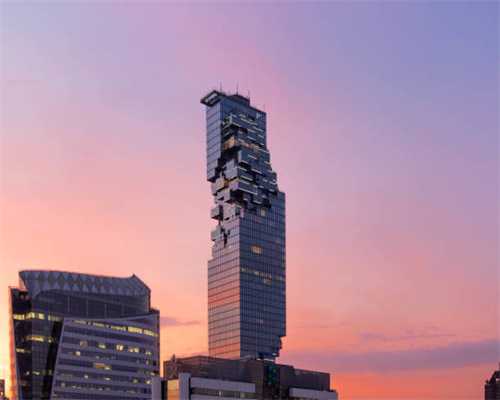 夏粮丰收底气足——山东“三夏”生产情况调查